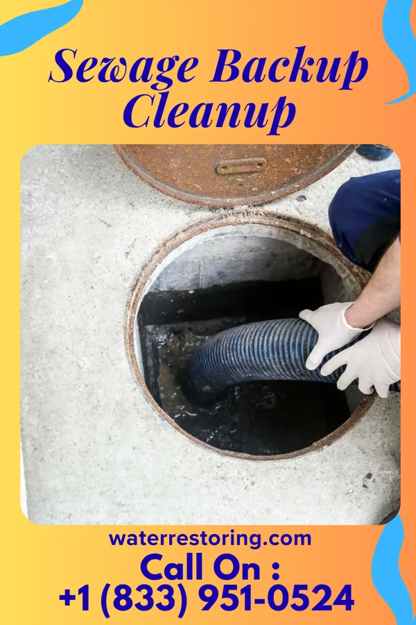 Sewage Backup Cleanup in Prosper, TX